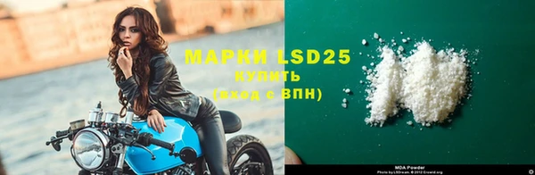 амф Магас