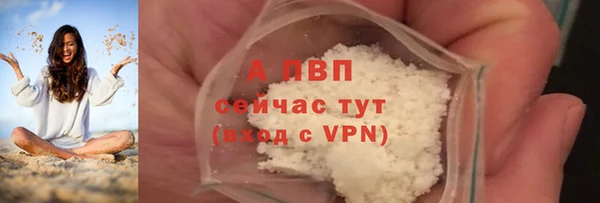 стаф Майский
