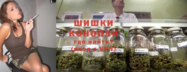 стаф Майский