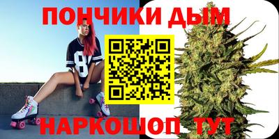 сатива Бийск