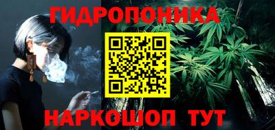 сатива Бийск