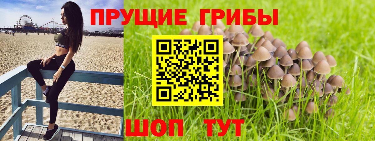 наркота  Псилоцибиновые грибы Psilocybe  Елизово  Вход с VPN  Псилоцибиновые грибы мухоморы 
