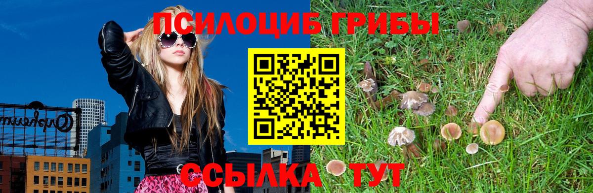 Псилоцибиновые грибы MAGIC MUSHROOMS  Псилоцибиновые грибы Psilocybine cubensis  купить   Елизово 