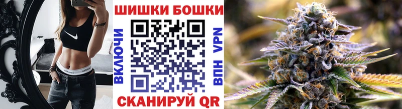 как найти закладки  Елизово  Бошки марихуана White Widow 